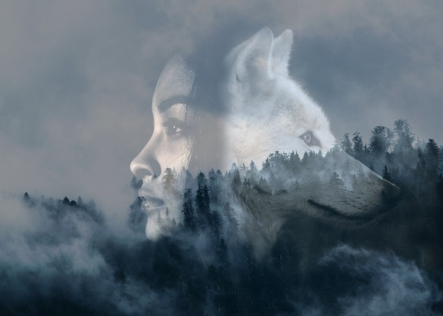 Die Stille nach dir